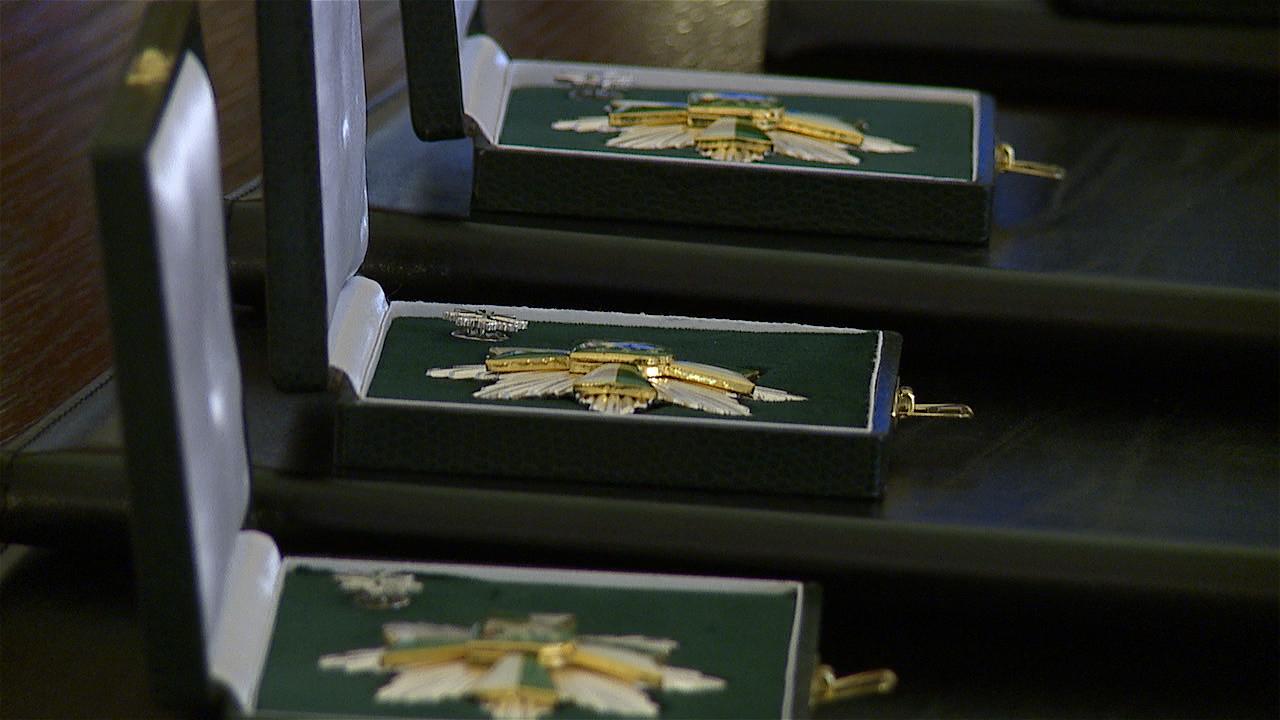 Ehrenzeichenverleihung im Rathaus Steyr